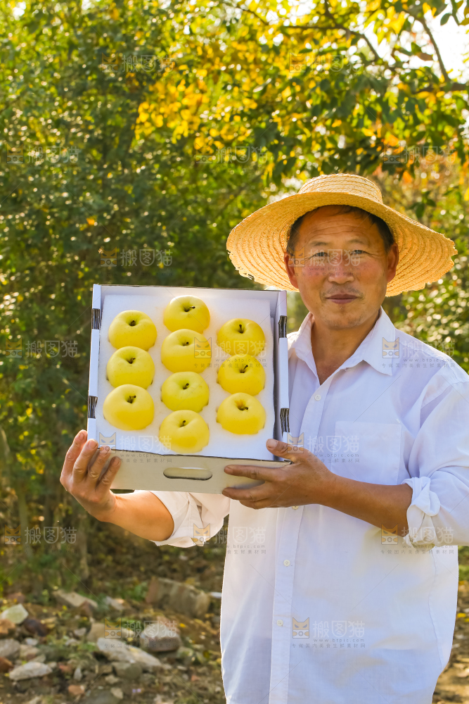 手里拿着黄元帅苹果