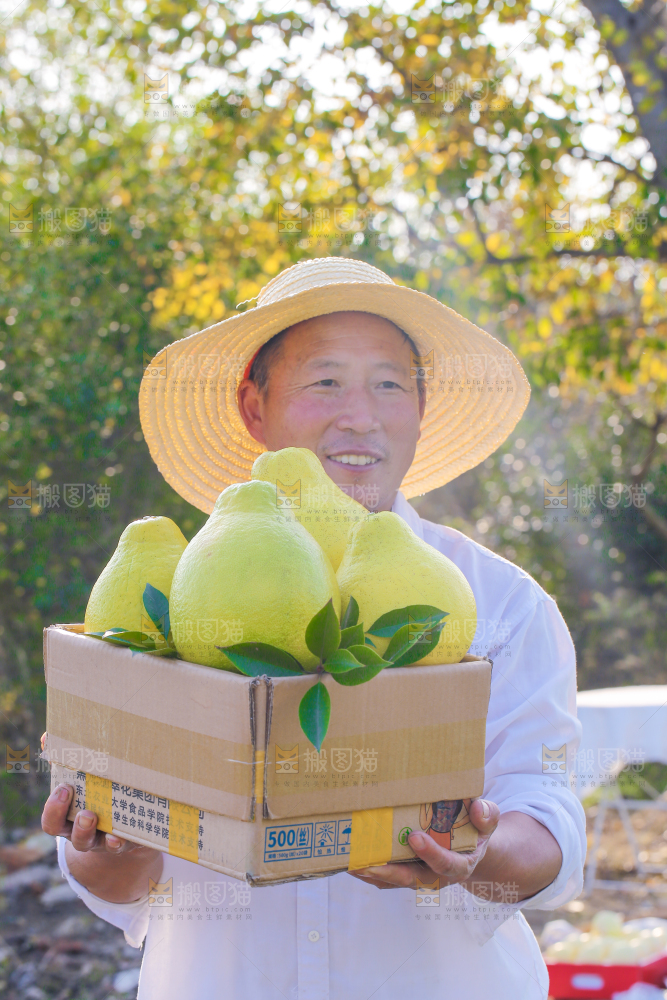 手里拿着沙田柚