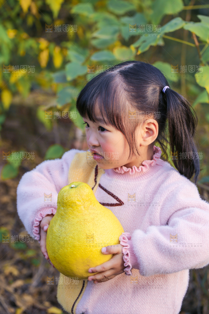 手里拿着沙田柚
