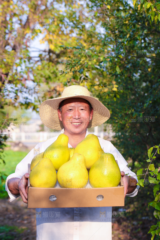 手里拿着沙田柚