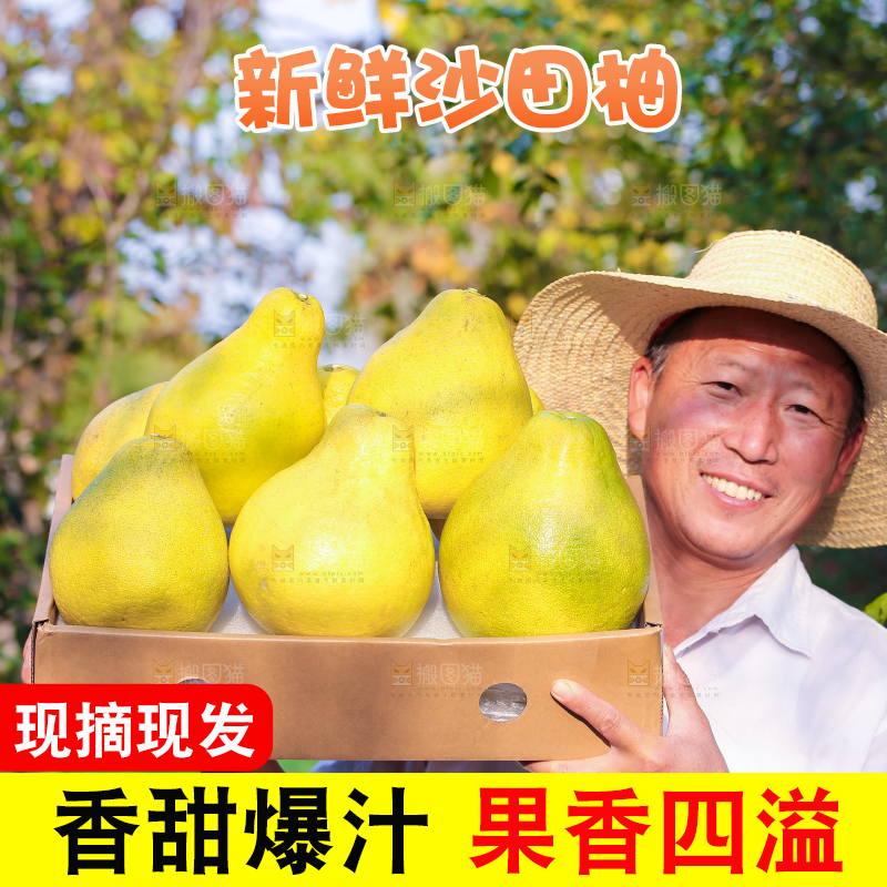 手里拿着沙田柚