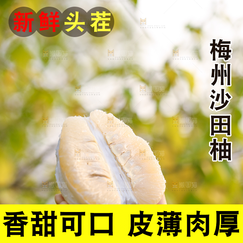 手里拿着沙田柚