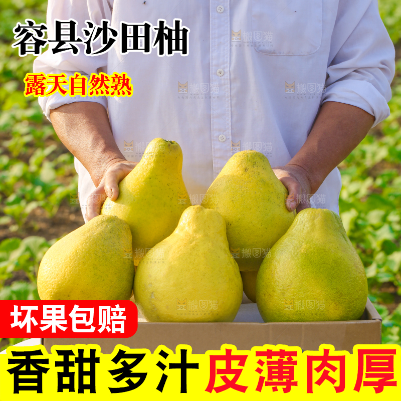 手里拿着沙田柚