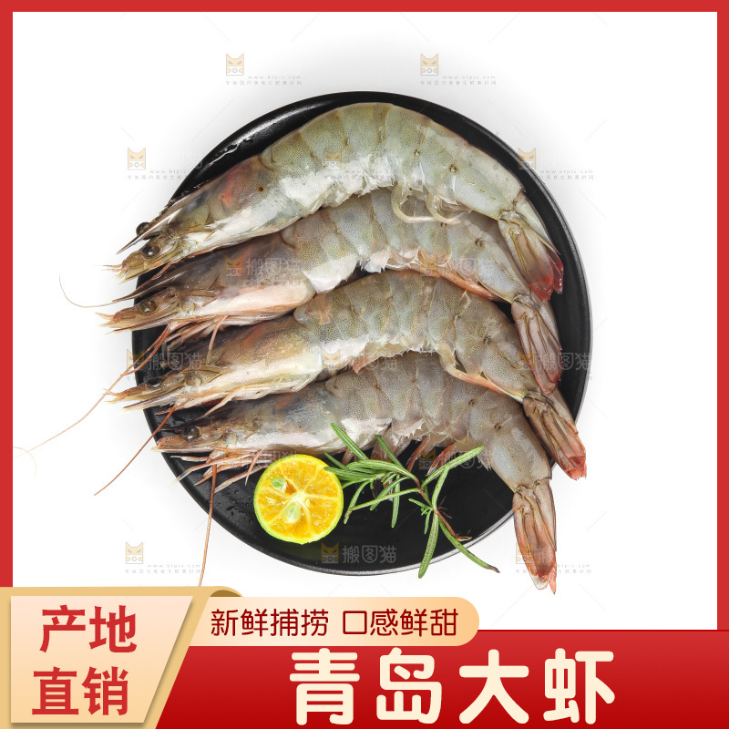 白底上的大虾