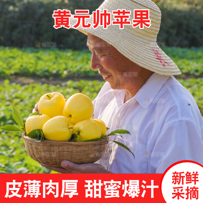 手里拿着黄元帅苹果