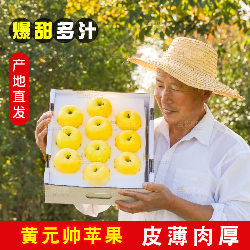 手里拿着黄元帅苹果