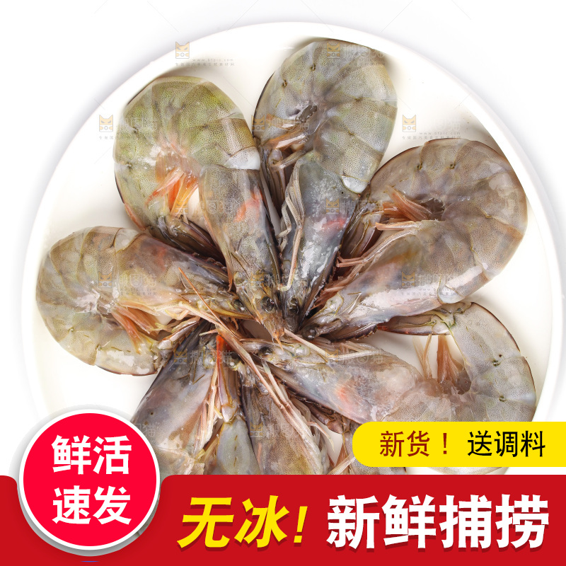 白底上的大虾
