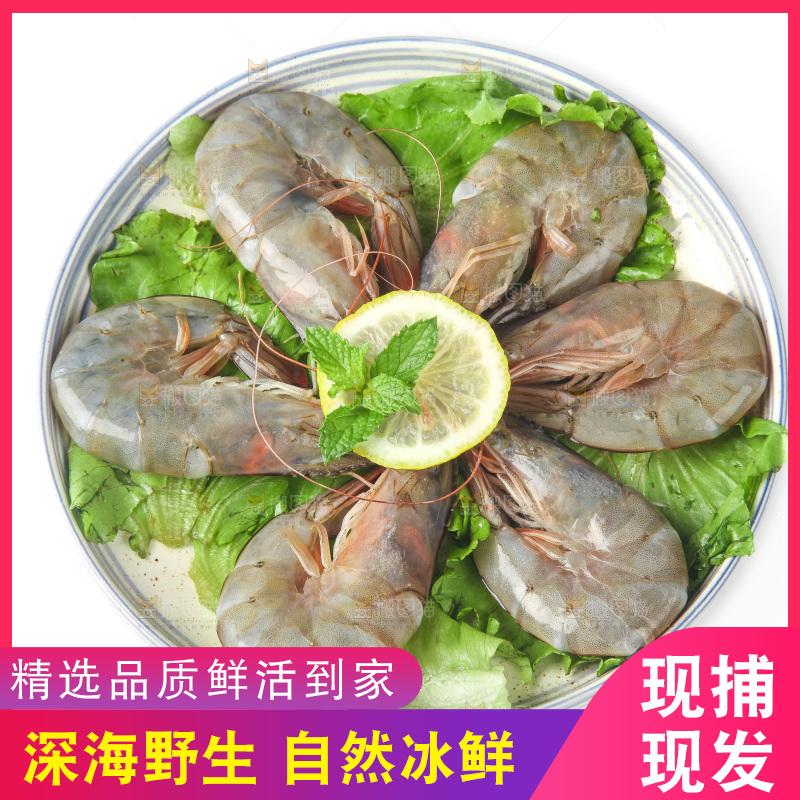 白底上的大虾