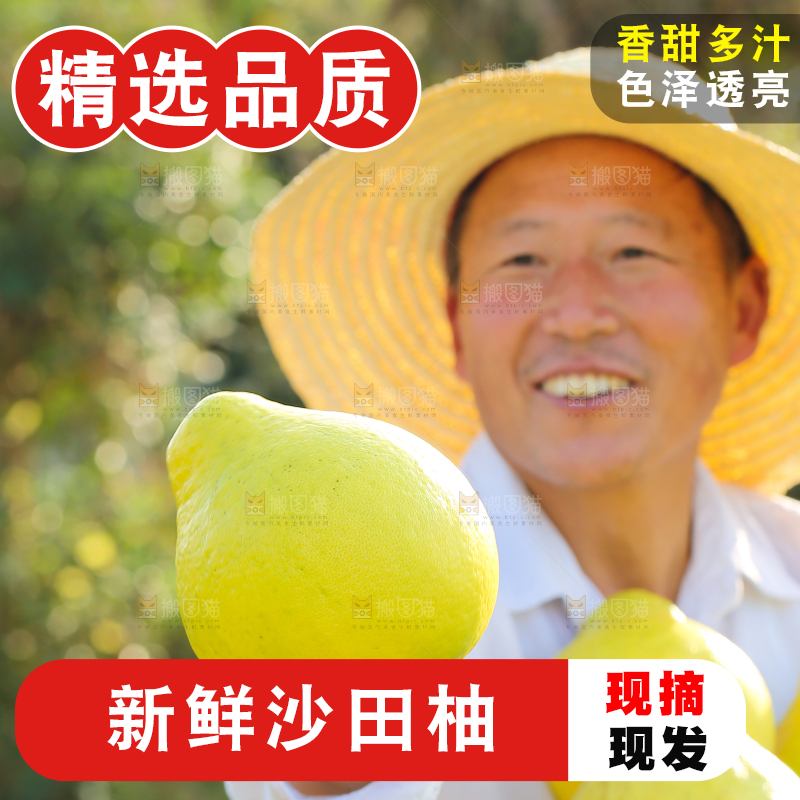 手里拿着沙田柚