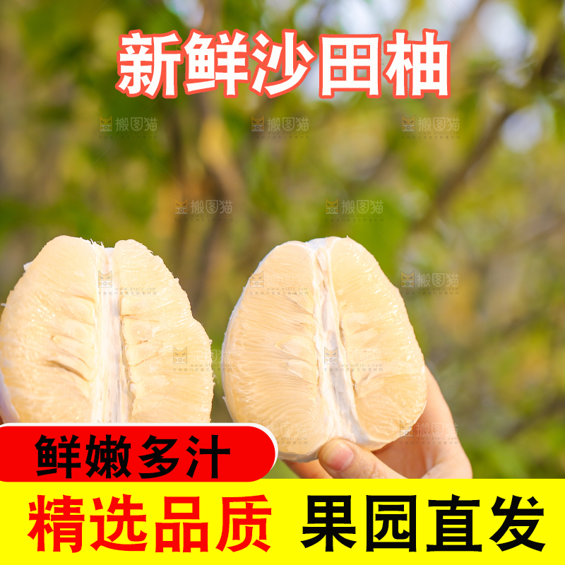 手里拿着沙田柚
