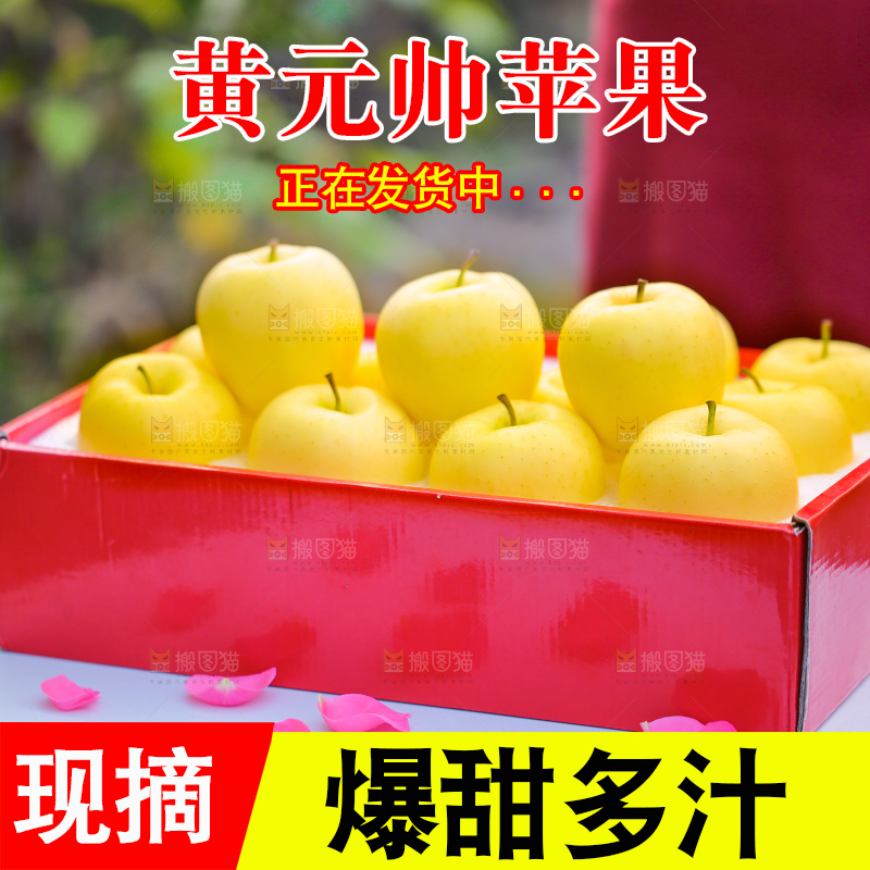 手里拿着黄元帅苹果