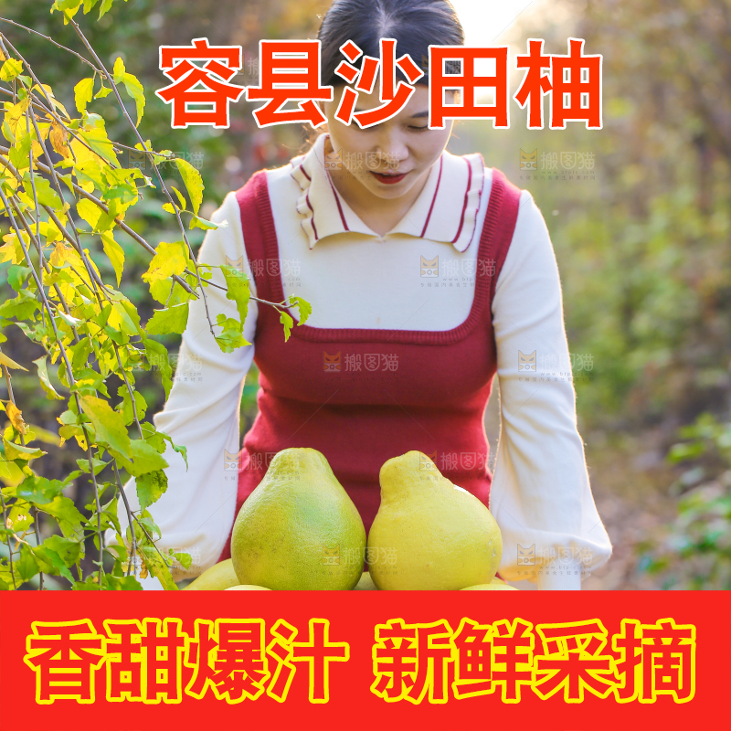 手里拿着沙田柚