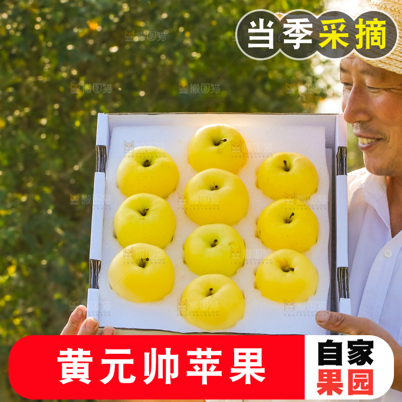 手里拿着黄元帅苹果