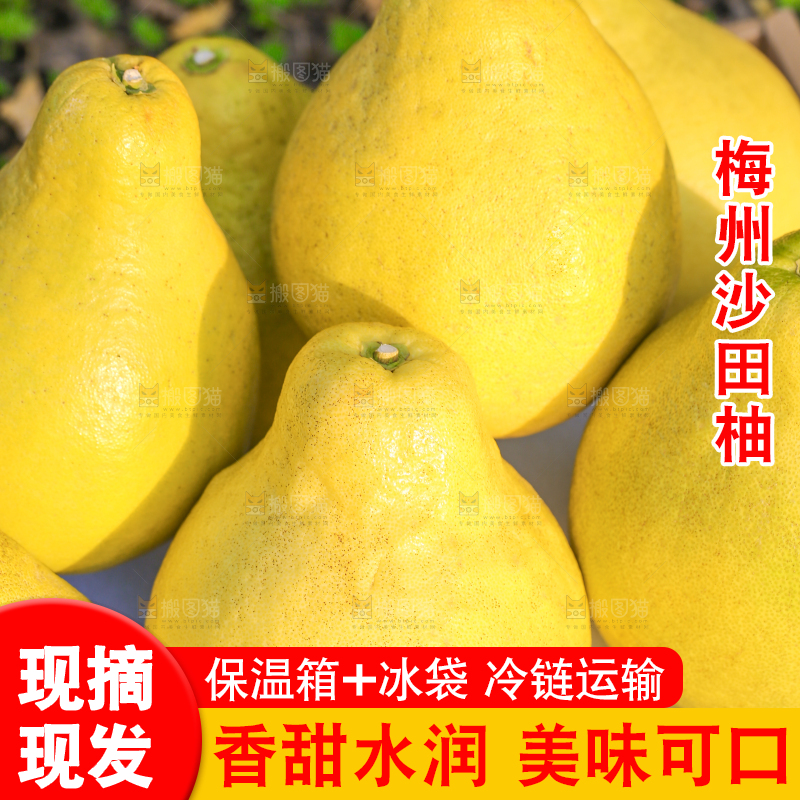 手里拿着沙田柚