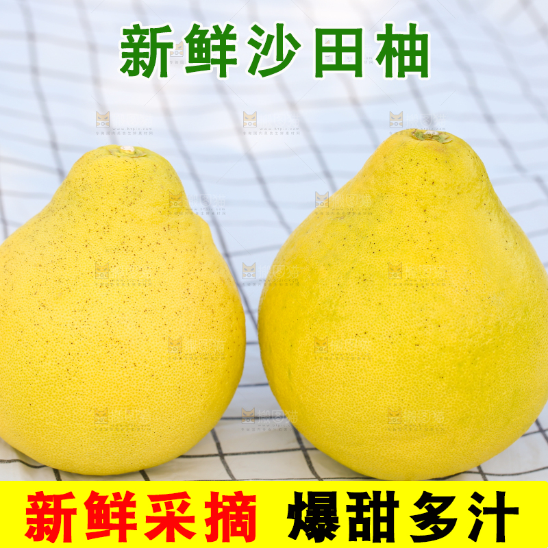 浅底上的沙田柚