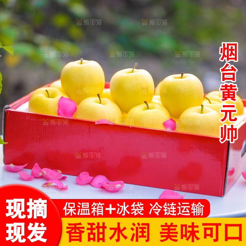 手里拿着黄元帅苹果