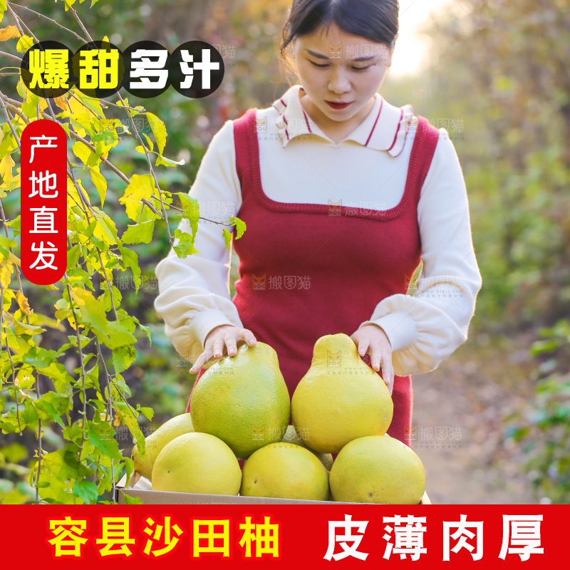 手里拿着沙田柚