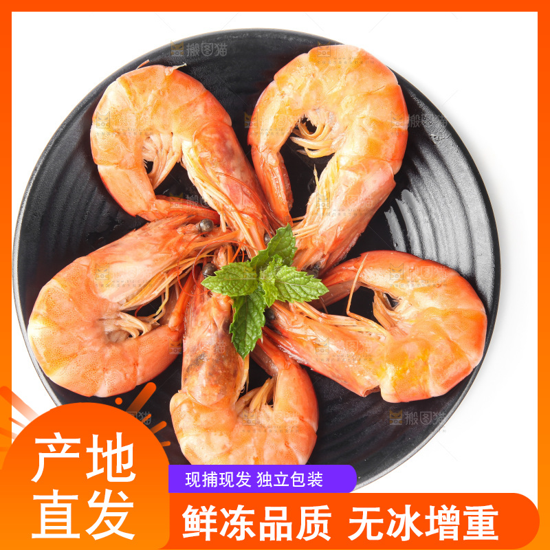 白底上的大虾