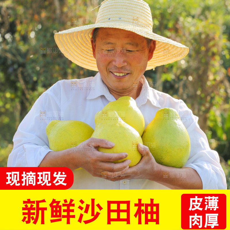 手里拿着沙田柚