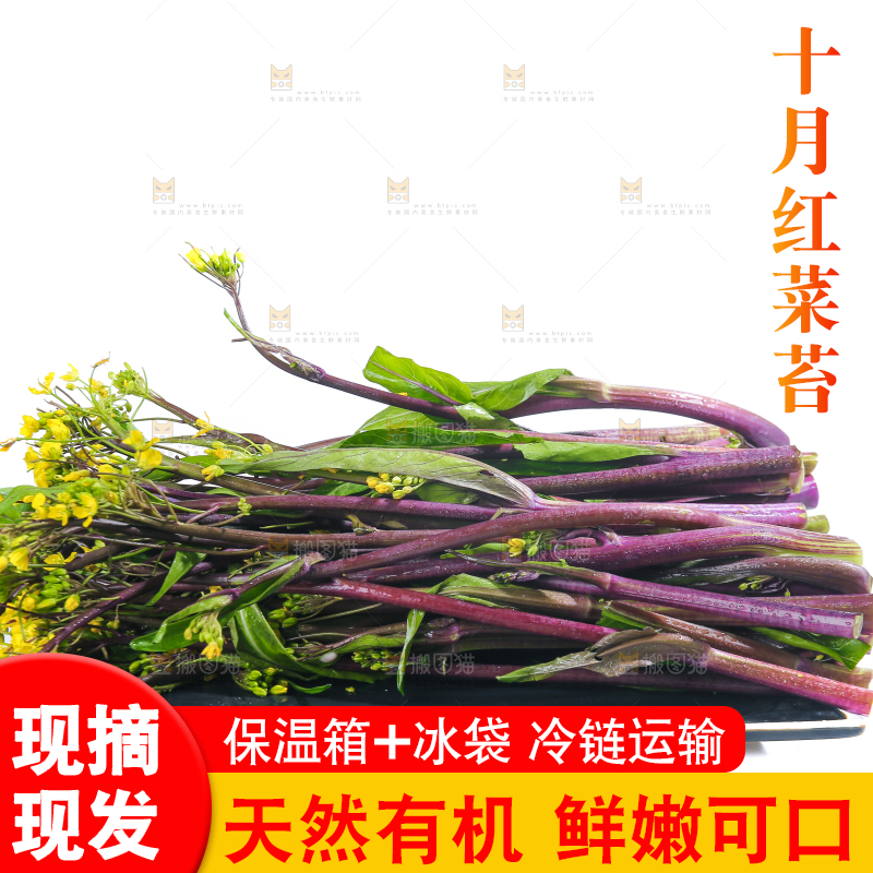 白底上的红菜苔