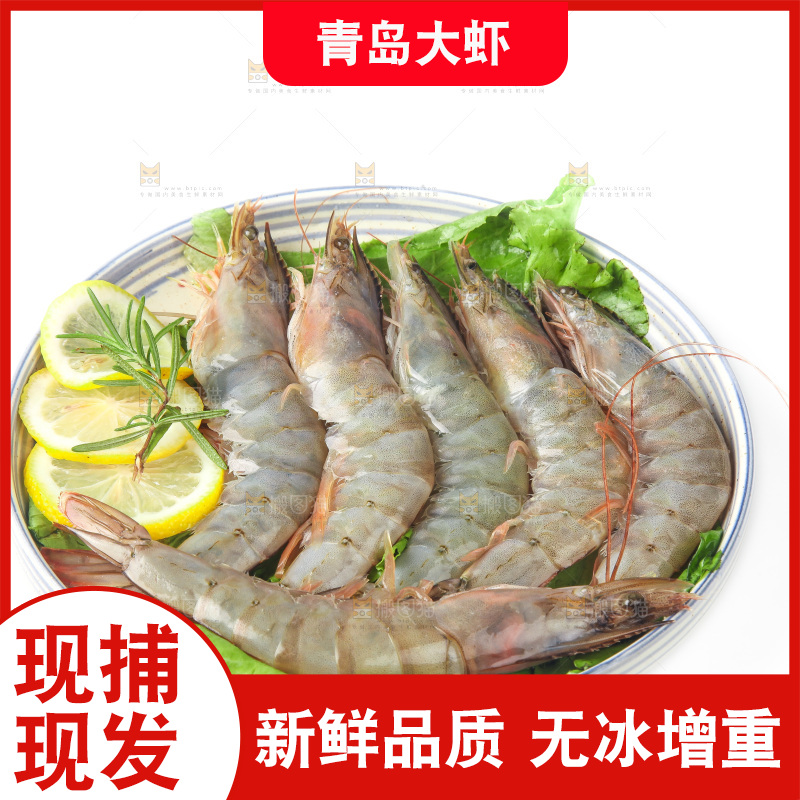 白底上的大虾
