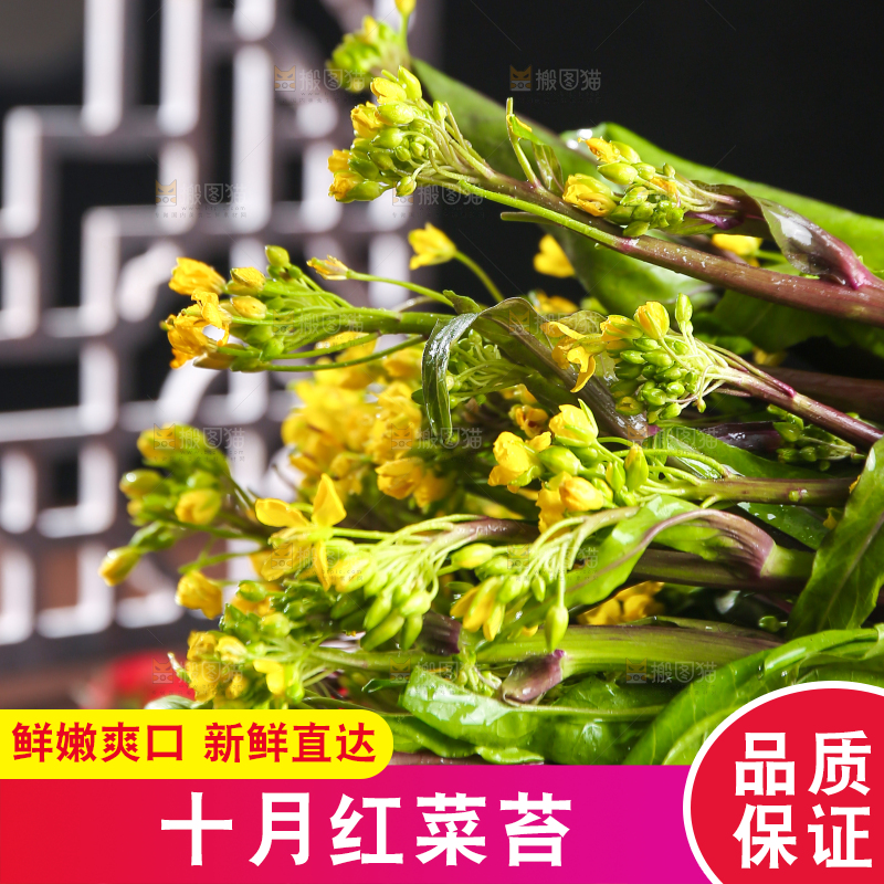 深底上的红菜苔