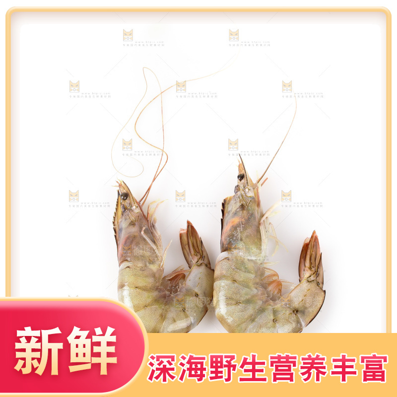 白底上的大虾