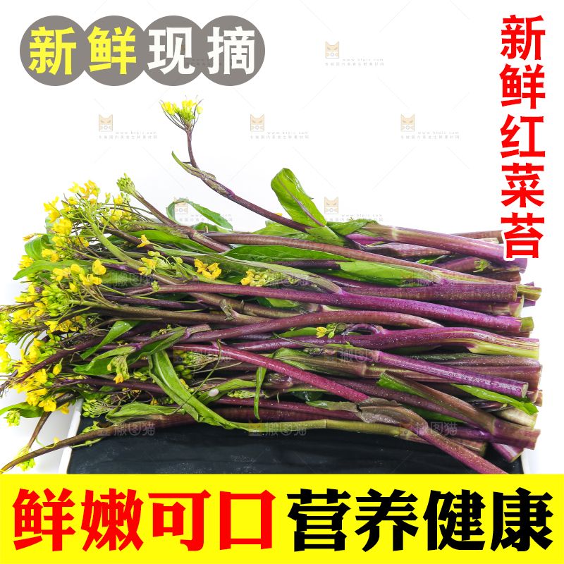白底上的红菜苔