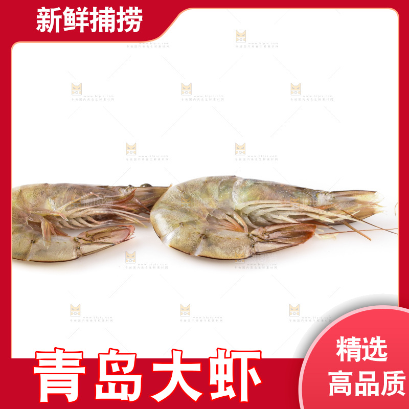 白底上的大虾