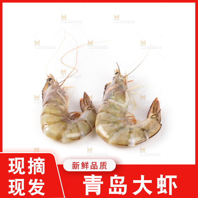 白底上的大虾