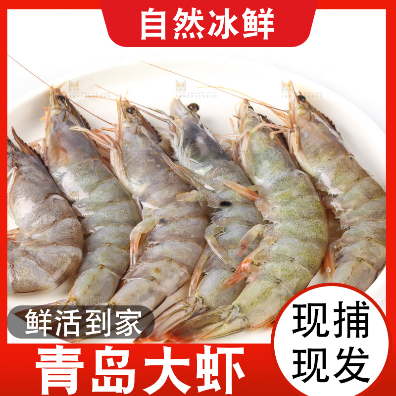 白底上的大虾