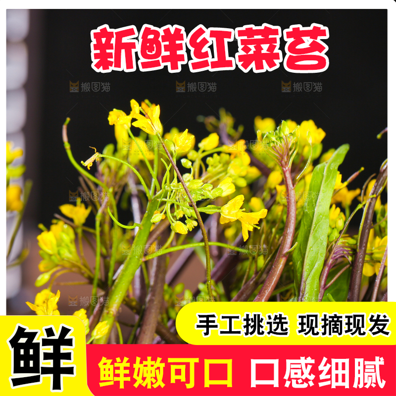 深底上的红菜苔