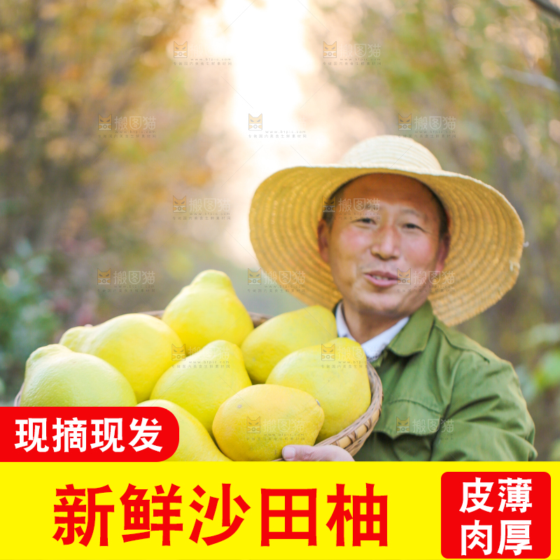 手里拿着沙田柚