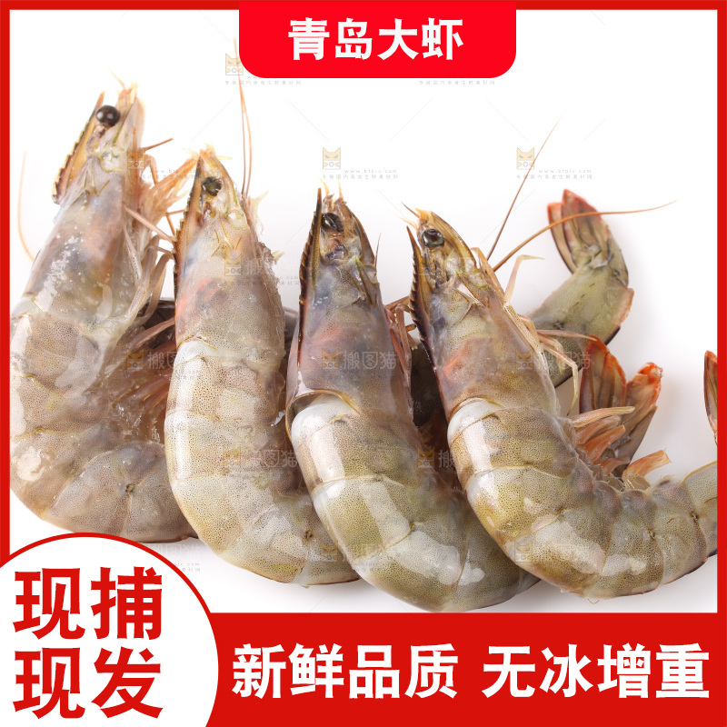 白底上的大虾
