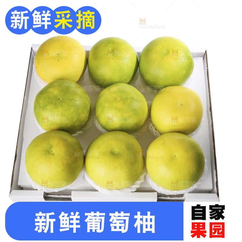 白底上的青皮葡萄柚