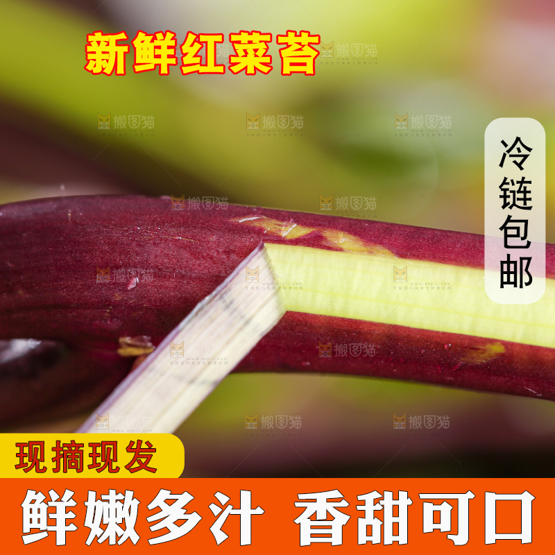 深底上的红菜苔