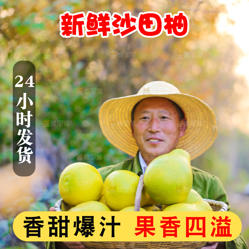手里拿着沙田柚