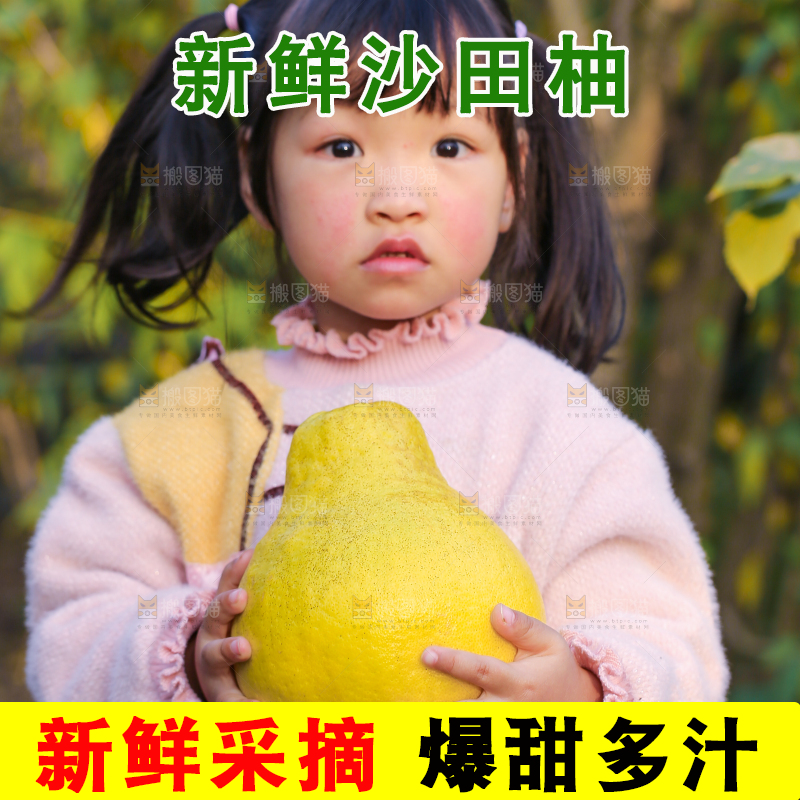 手里拿着沙田柚