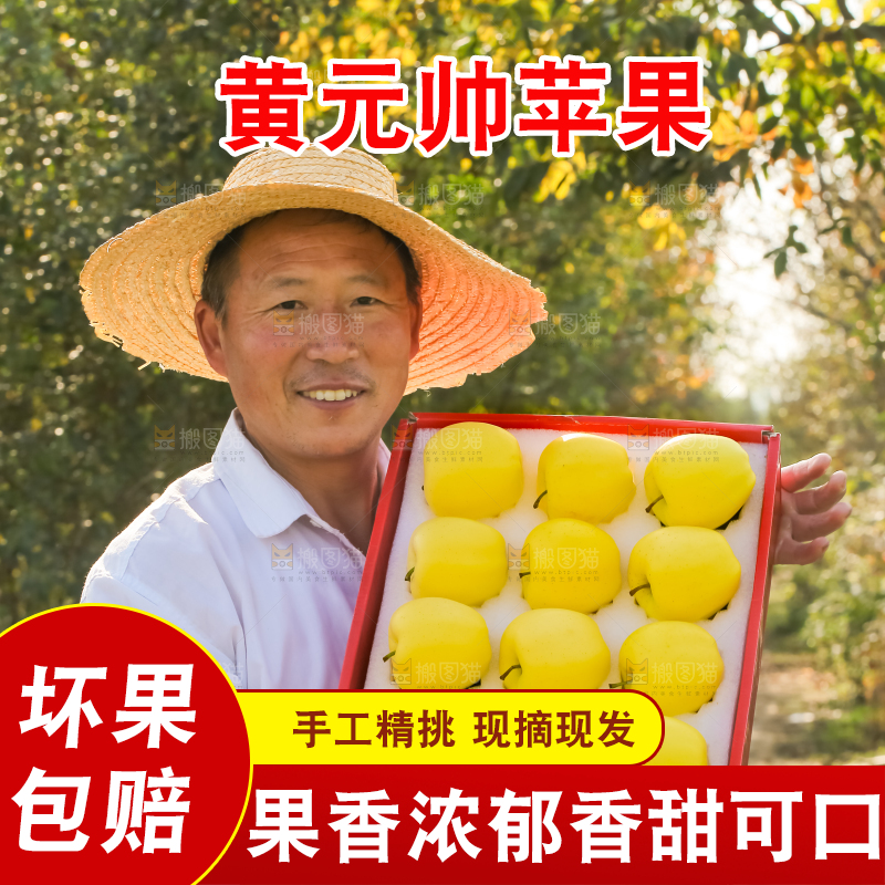 手里拿着黄元帅苹果