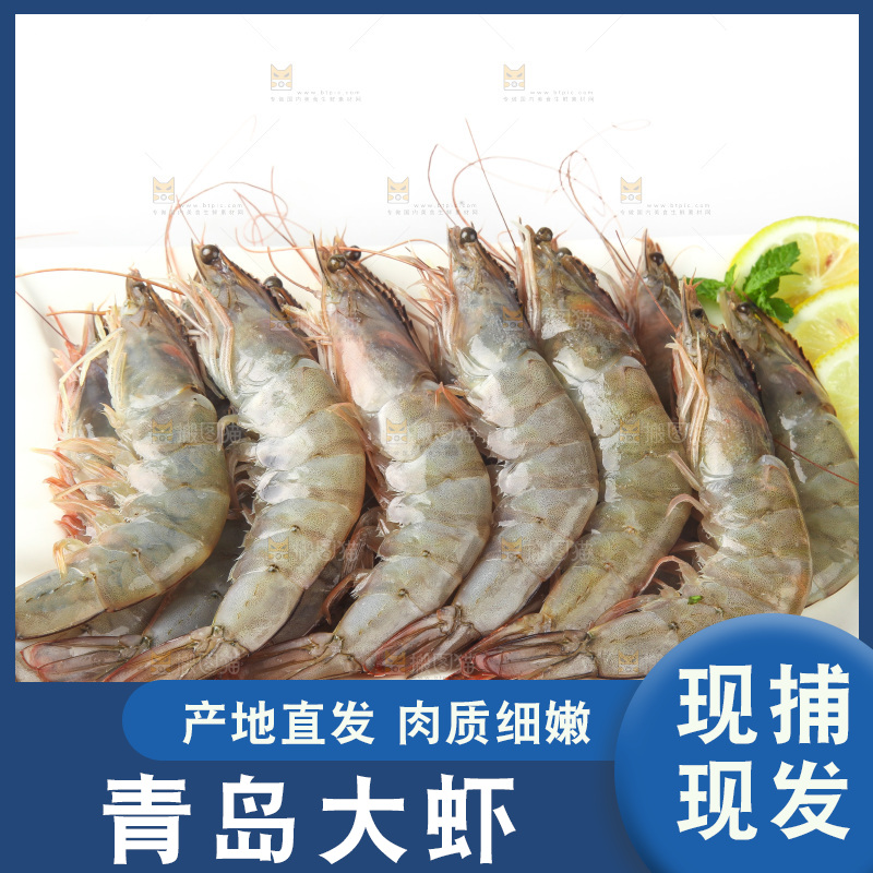 白底上的大虾