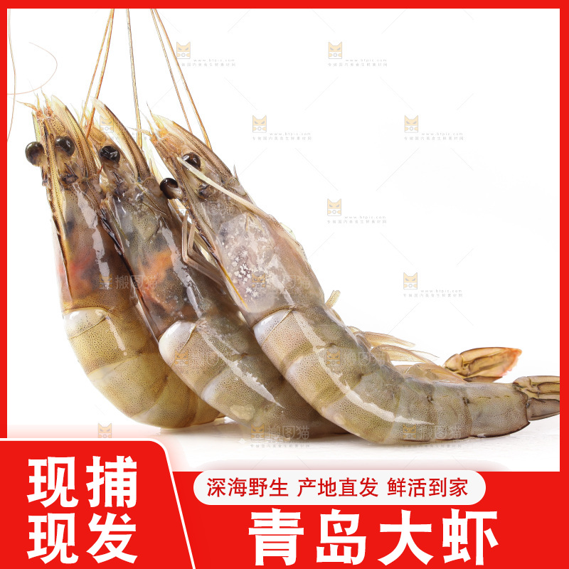 白底上的大虾