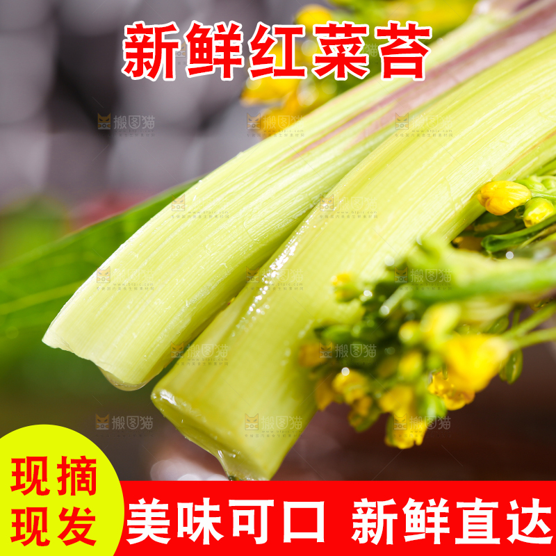 深底上的红菜苔