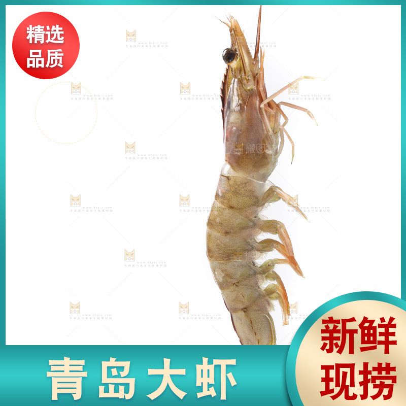 白底上的大虾