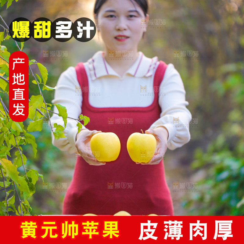 手里拿着黄元帅苹果