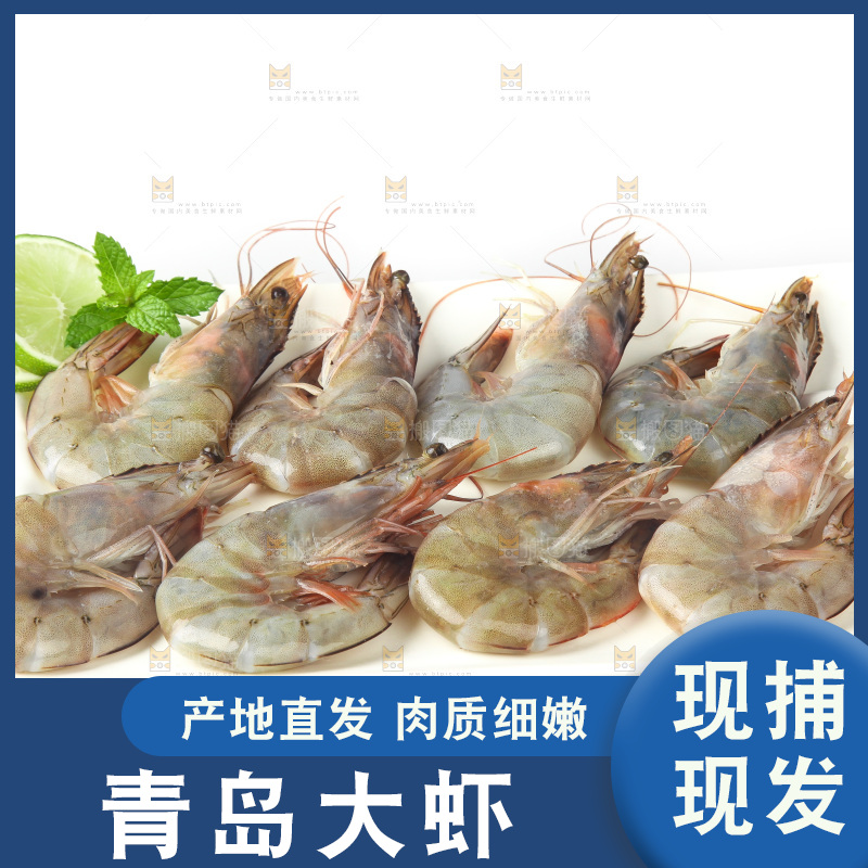 白底上的大虾