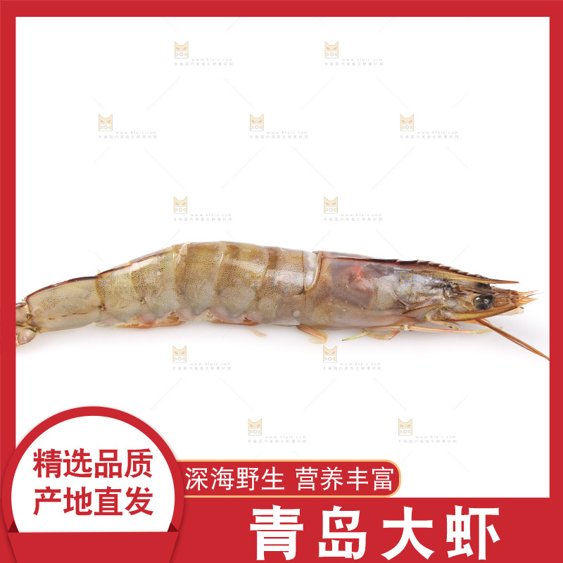 白底上的大虾