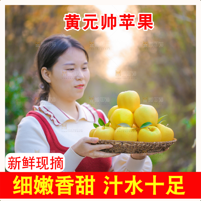 手里拿着黄元帅苹果