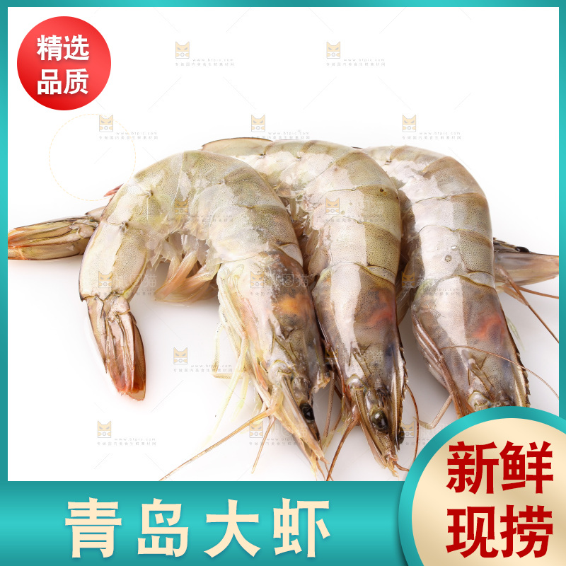 白底上的大虾