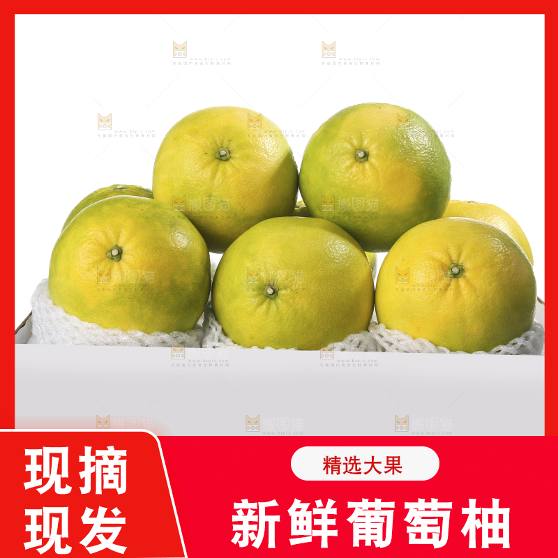 白底上的青皮葡萄柚