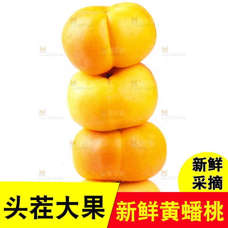 白底上的黄金油蟠桃